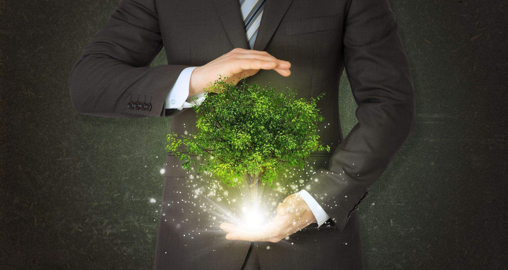 sustainability-culture